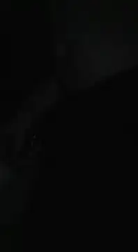 Bi curious86 online show from 11.13.25