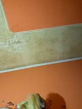 ducicsajsziii online show from 12.09.24