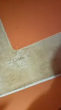 ducicsajsziii online show from 03.19.25