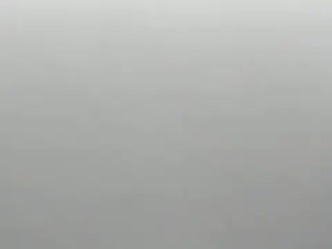 Z-O-E-Y online show from 03.15.25