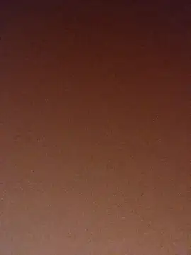 pinaxpack1 online show from 11.03.25