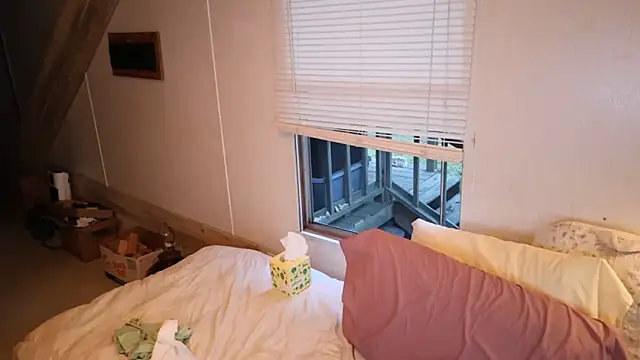 xxpixeyxx online show from 09.26.25