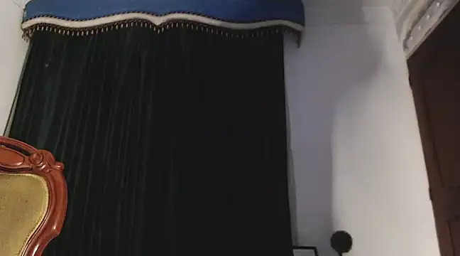 Snapshot of HomeAloneK chatting on 12.23.24 HomeAloneK online show from 12.23.24