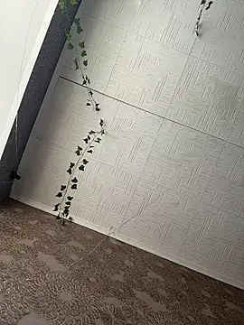 AmmyHot online show from 02.23.26