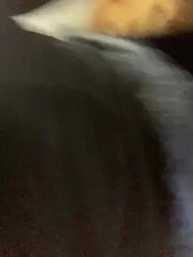 slimcateee online show from 03.02.25