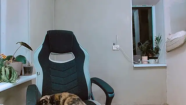 Snapshot of RosaJil chatting on 11.01.25 RosaJil online show from 11.01.25