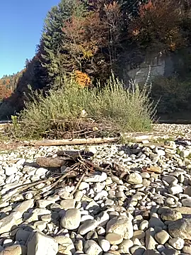 artXhibitor online show from 10.18.25