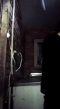 Cameron puppy online show from 03.07.25