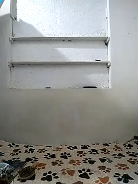 Cameron puppy online show from 04.12.26