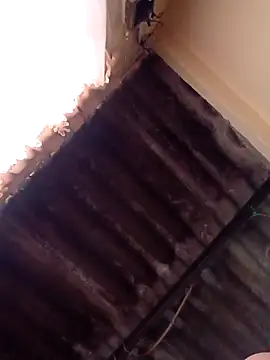 dantero online show from 01.13.25