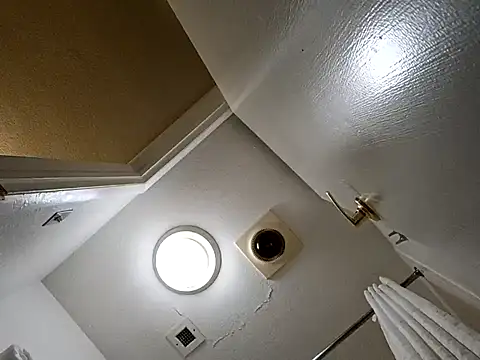 Snapshot of Treemandude chatting on 10.29.25 Treemandude online show from 10.29.25