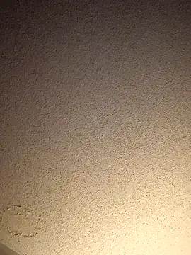 Treemandude online show from 11.13.25