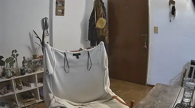 stupid babybird online show from 12.21.24