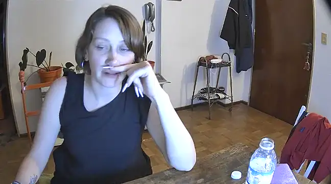 stupid babybird online show from 12.29.24