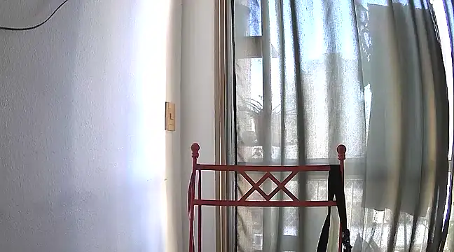 stupid babybird online show from 01.15.25