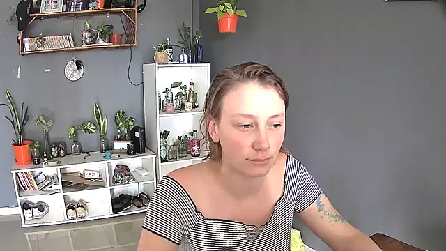 stupid babybird online show from 02.28.25