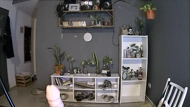 stupid babybird online show from 03.04.25