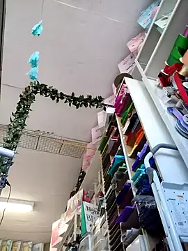 Mia Novikov online show from 10.04.25