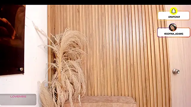 sofhiaa adaams online show from 02.22.26