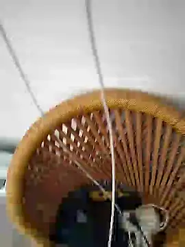 Snapshot of Nuttysub chatting on 12.10.24 Nuttysub online show from 12.10.24
