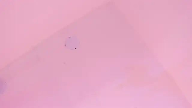 LoveQueen2 online show from 01.06.26