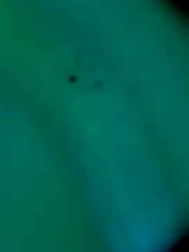 sm4lld1ck online show from 10.31.25