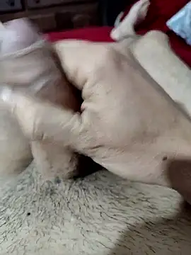 Snapshot of quierodarleche69 chatting on 10.31.25 quierodarleche69 online show from 10.31.25