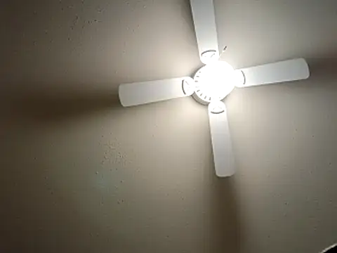 EXOTICLEXXXI online show from 12.23.25