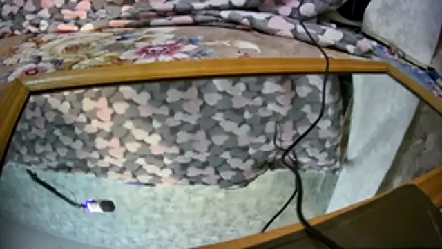 Kai and you online show from 11.21.25