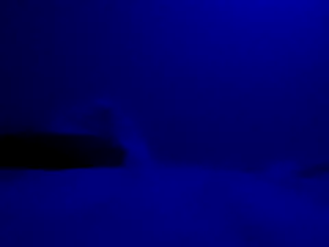 Blkstylion online show from 11.27.25