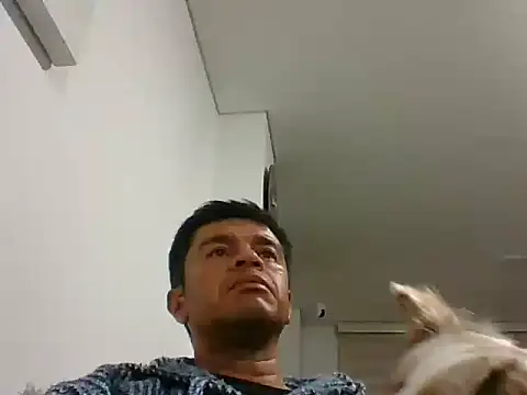 perxxxeo  online show from 10.11.25