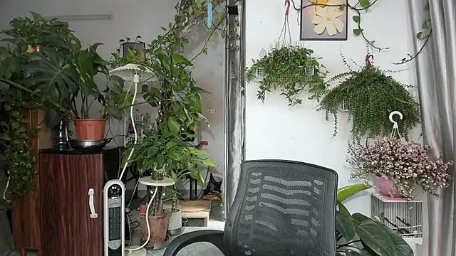 Oliver Nl online show from 03.27.26