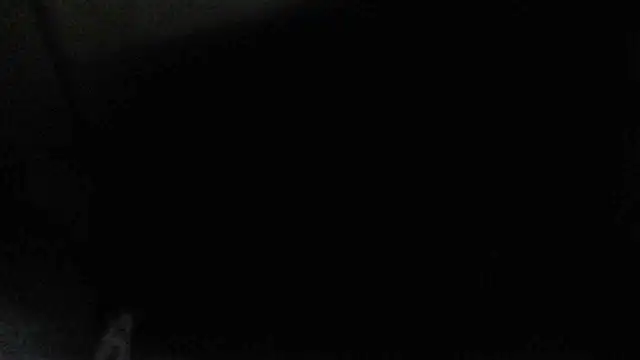 perversalus online show from 12.17.24