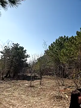 -Pupsiki- online show from 03.13.26