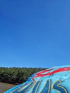 Dixiefaye Pika online show from 03.18.25