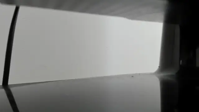 Alejandra Dunn online show from 10.03.25