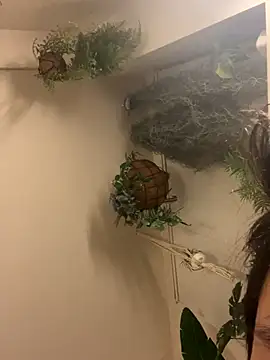 IroManager online show from 09.15.25