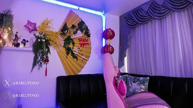 Snapshot of albaismynameX chatting on 02.20.25 albaismynameX online show from 02.20.25