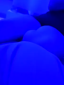 AlanDickson online show from 03.12.26