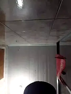 Adee21e online show from 11.17.25