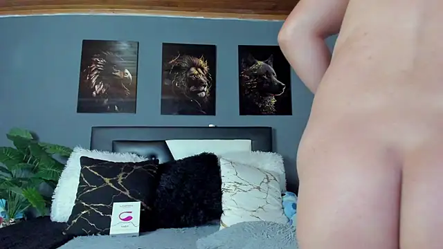 francesco evan online show from 01.15.26