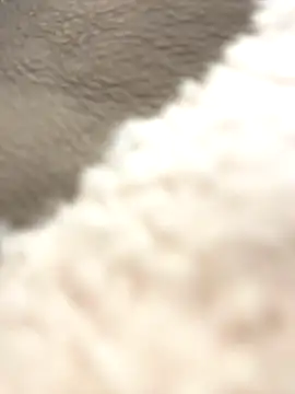 Snapshot of NewLale chatting on 10.12.25 NewLale online show from 10.12.25