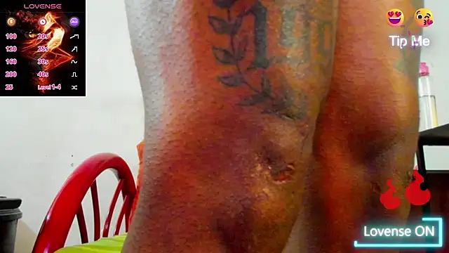 wotton 17 online show from 12.13.25