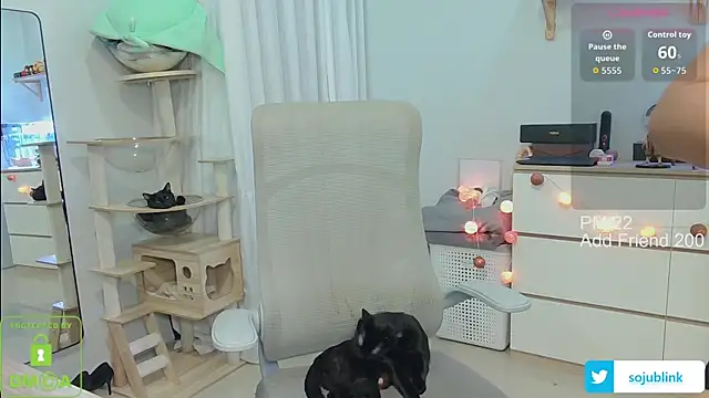 littlemiilk online show from 01.13.26