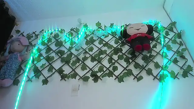 Pucaa  online show from 12.13.24
