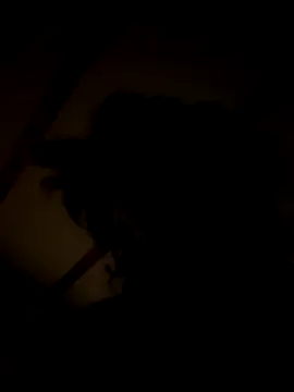 habbockwiesau online show from 11.22.25