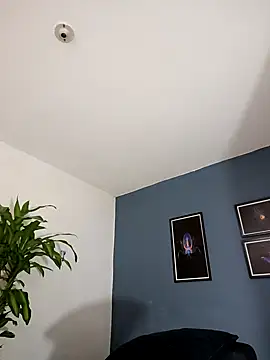 SilvaBranko online show from 11.09.25