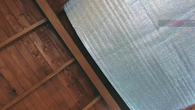 SilvaBranko online show from 03.25.26