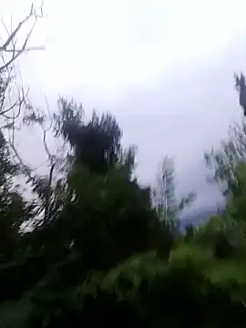 maleesa online show from 10.01.25