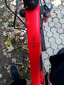 maleesa online show from 10.04.25